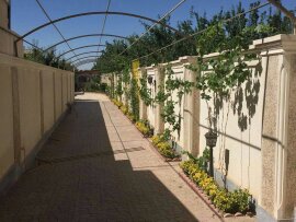 کردان جنوبی چهارباغ
