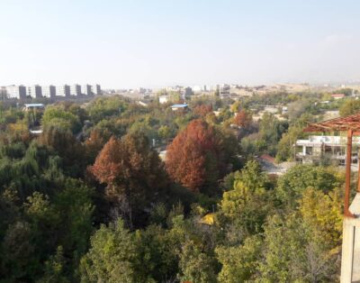 کردان کوهسار