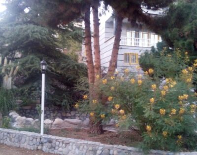 کوهسار کردان با دو استخر ویژه (خانواده)
