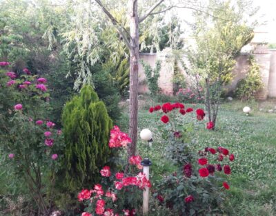 مرکز کردان باغ ویلا دوبلکس